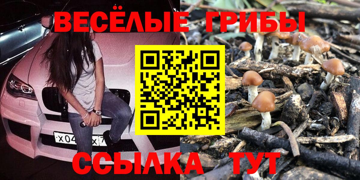 Бердск  Галлюциногенные грибы Psilocybe  Галлюциногенные грибы MAGIC MUSHROOMS  Вход с VPN 