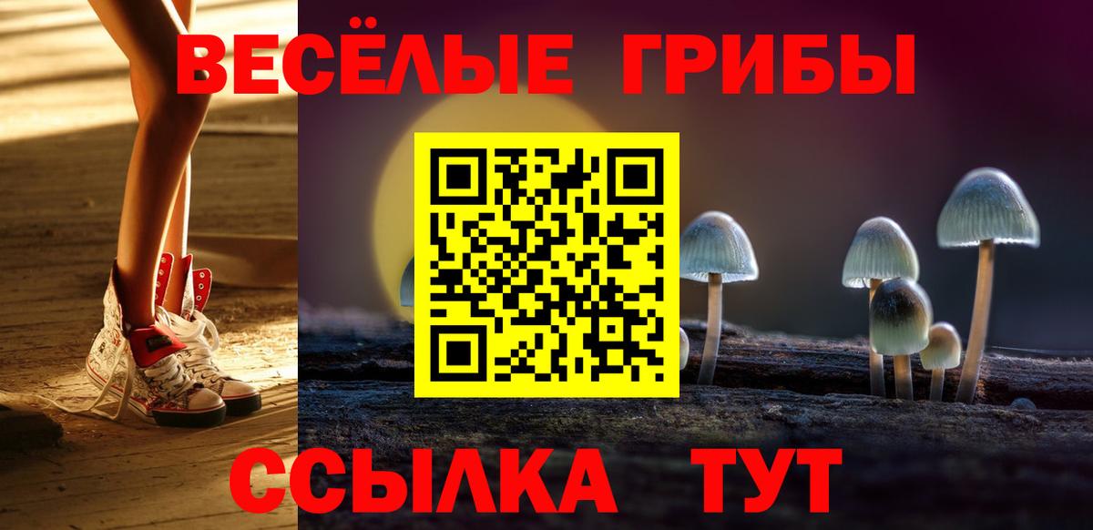 Псилоцибиновые грибы мицелий Бердск
